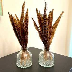 2 decorative feathers in glass jars